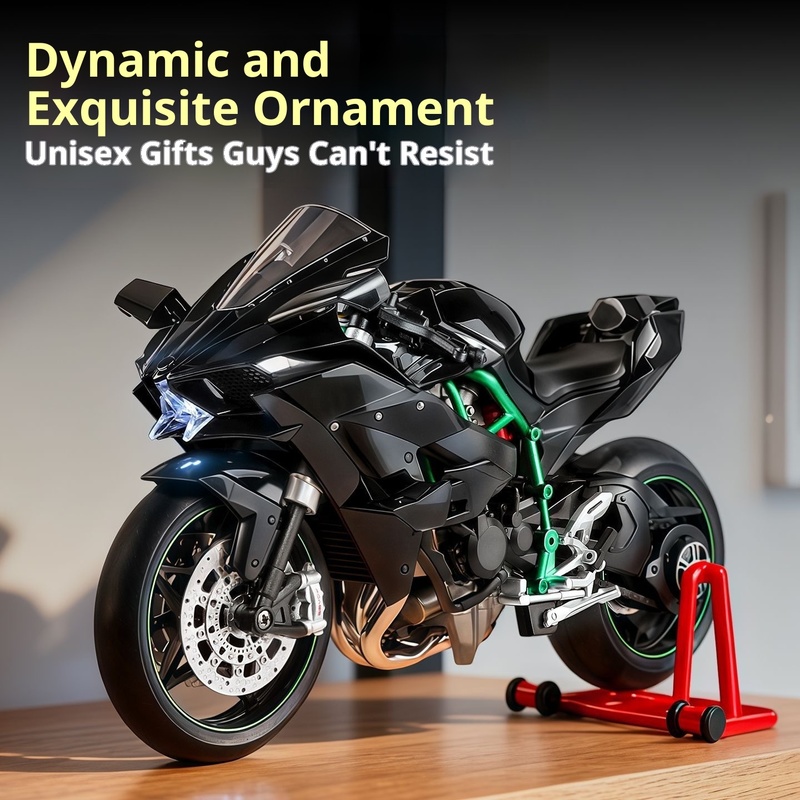 Kawasaki Ninja H2R 1:9 Scale D - Battery Case Storage 리뷰 및 가격